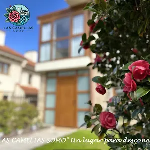 Nuevo!!! 5 Min Andando La Playa!! Camelias Reformado Totalmente Сasa de vacaciones